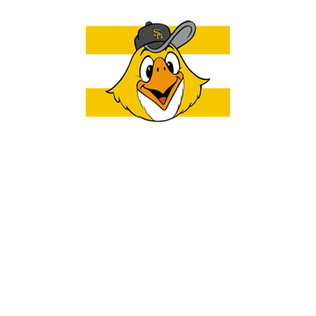 Fukuoka Yahuoku! Dome (Softbank Hawks, Japan) 3D venue